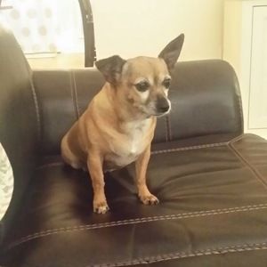 Meet your Posher, Rowland